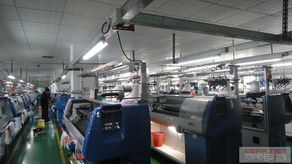 东莞市大朗 中高档品牌毛衫加工的专业之选